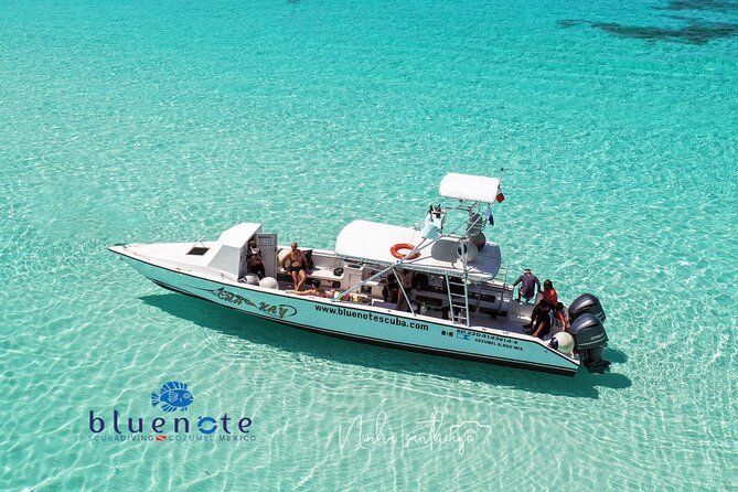 2 Tank Morning Dive: Scuba Diving in Cozumel - Key Things I’d Put on Your Radar