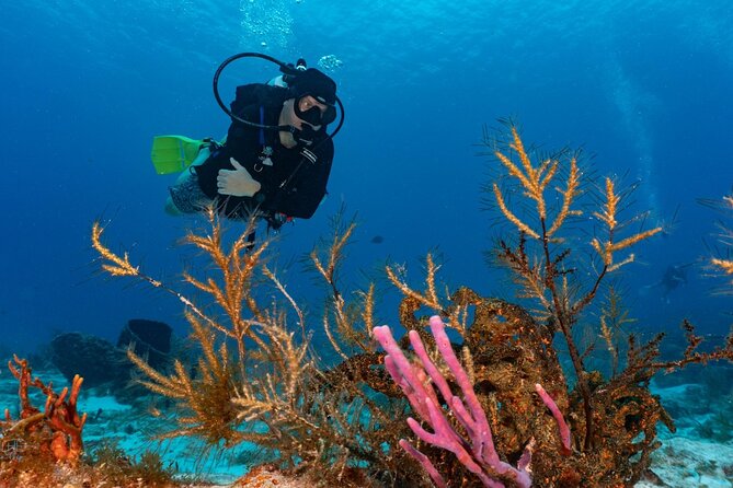 2 Tank Morning Dive: Scuba Diving in Cozumel - Boat Comfort Matters More Than You Think