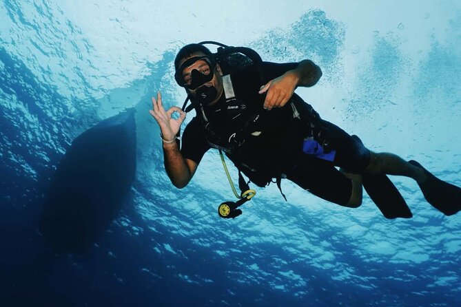 2 Tank Morning Dive: Scuba Diving in Cozumel - Safety and Attention: What You’ll Feel Underwater