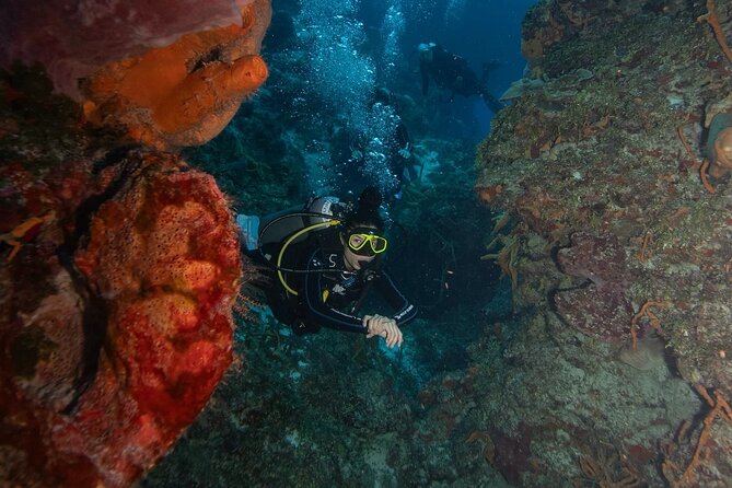 2 Tank Morning Dive: Scuba Diving in Cozumel - Price Breakdown: When $160 Really Feels Fair