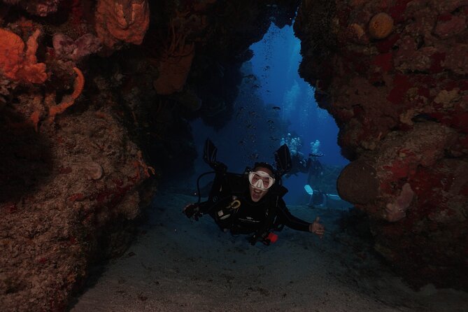 2 Tank Morning Dive: Scuba Diving in Cozumel - Logistics From Cruise Ships and Hotels (Straight Advice)