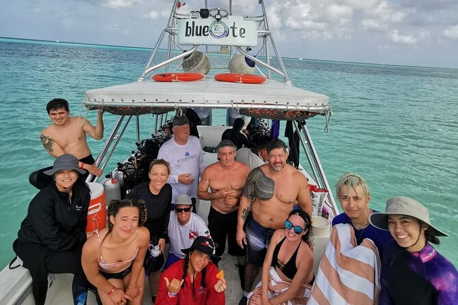 2 Tank Morning Dive: Scuba Diving in Cozumel - Gear, Check-In, and What to Expect on Equipment Use