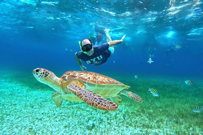 4 Hour Cozumel Turtle Sanctuary Experience on a Luxury Catamarán - Price and what you actually pay for