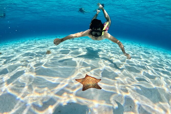 4 Hour Cozumel Turtle Sanctuary Experience on a Luxury Catamarán - Reef stops: what you’re likely to see in Cozumel waters