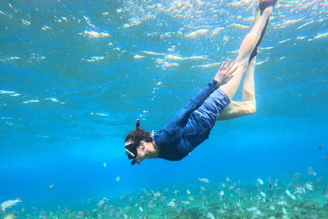4 Hour Cozumel Turtle Sanctuary Experience on a Luxury Catamarán - El Cielo: starfish on white sand