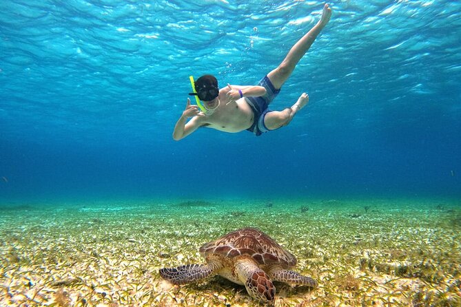 4 Hour Cozumel Turtle Sanctuary Experience on a Luxury Catamarán - Cielito (Little Heaven): the relaxed sandbank finish