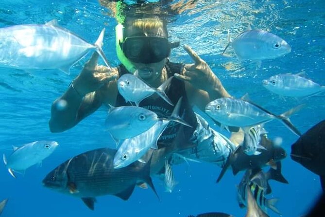 4 hours of shared snorkeling to El Cielo - El Cielito sandbar stop: snacks, downtime, and the “best beach” argument