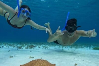 4 hours of shared snorkeling to El Cielo - Columbia Reef: good wildlife odds and a calmer rhythm