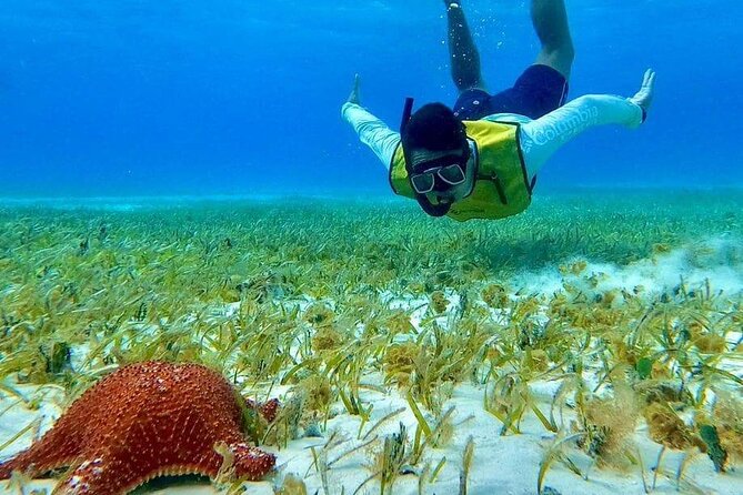 4 hours of shared snorkeling to El Cielo - Gear, group size, and safety: the stuff that affects your day
