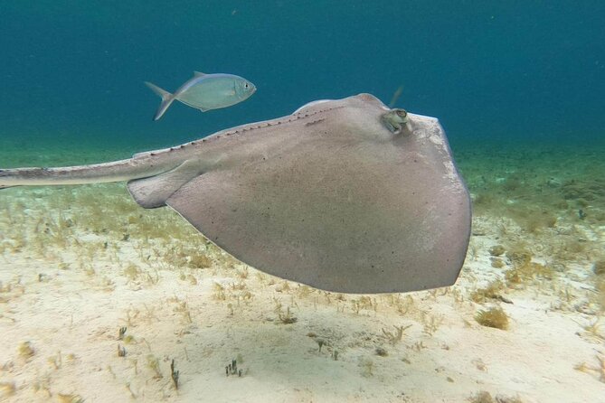 4 hours of shared snorkeling to El Cielo - Boat ride realities: small vessel, sunny day feel, and an occasional rough patch