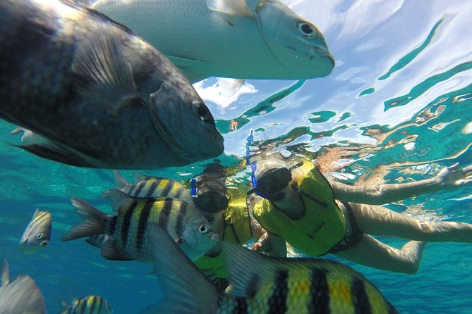 ATV Mud Kicking and Snorkeling by Boat in Cozumel - Lunch and open bar at Tortugas: where the tour turns comfortable