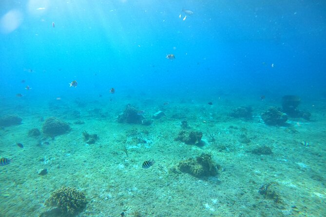Bavarian Fiesta Snorkel Activity in Glass Bottom Boat at San Miguel de Cozumel - The route: Cozumel’s south side is where the magic happens