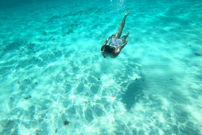 Bavarian Fiesta Snorkel Activity in Glass Bottom Boat at San Miguel de Cozumel - Price and value: what $117.09 really covers