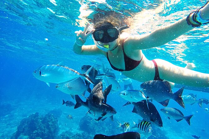 Best Cozumel Day Pass San Francisco Beach Club - Getting There: Taxi From the Port Is Part of the Real Cost