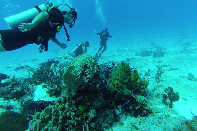 Chankanaab Cozumel Scuba Diving - Key things to know before you go