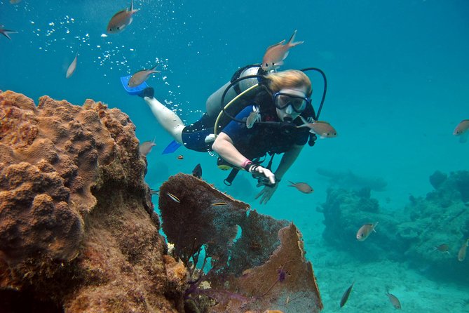Chankanaab Cozumel Scuba Diving - Price and value: what costs extra and why this can still be worth it