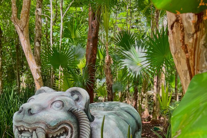 Chankanaab Park Admission + Snorkeling - Price and Marine Fees: The Part You Should Budget Before You Pay