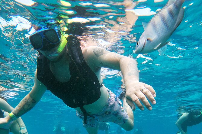 Chankanaab Park Admission + Snorkeling - Getting There: Near Public Transit, With Taxi Reality Included