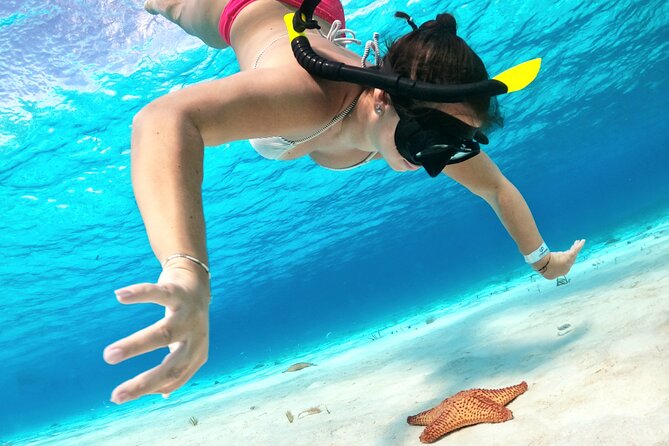 Colombia, Palancar & Cielo Cozumel Snorkel Tour - Cozumel Reef Hopping: The 4-Hour Rhythm You’re Signing Up For