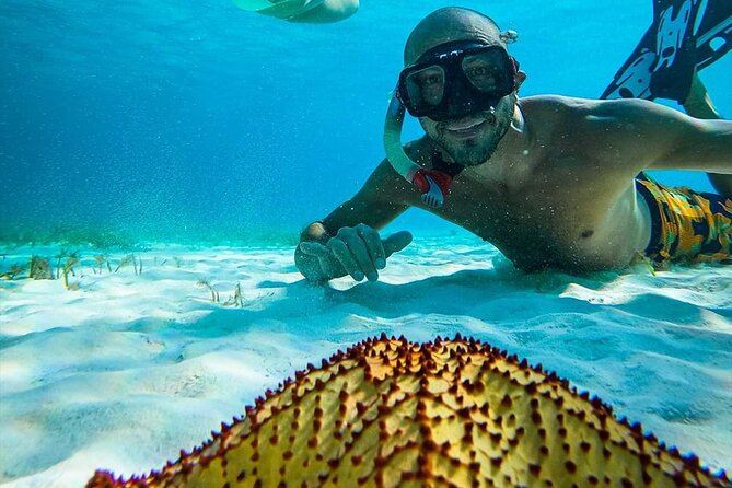Colombia, Palancar & Cielo Cozumel Snorkel Tour - El Cielo and El Cielito: The Look-Down Spots for Clear-Water Scenery