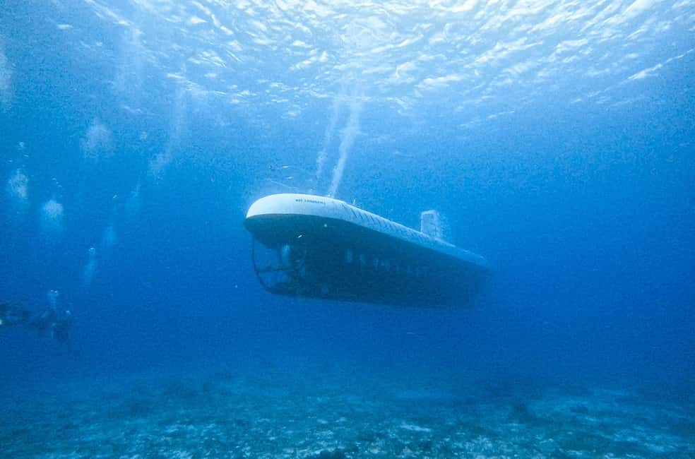 Cozumel: Atlantis Submarine Adventure - Cozumel Atlantis Submarine: what 100 feet down feels like