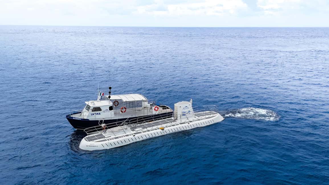 Cozumel: Atlantis Submarine Adventure - Should you book this submarine adventure?