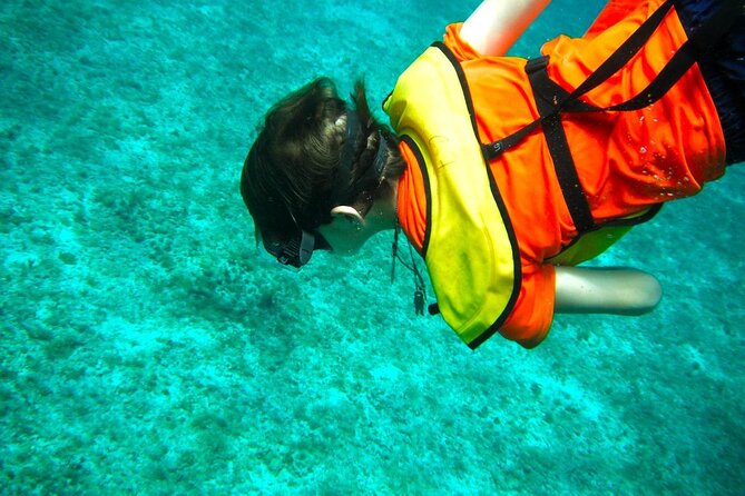 Cozumel Buggy Tour: Snorkeling , Otoch Mayan Experience & Lunch - Driving the Buggy Around the Island: Fun, Freedom, and Stick-Shift Reality