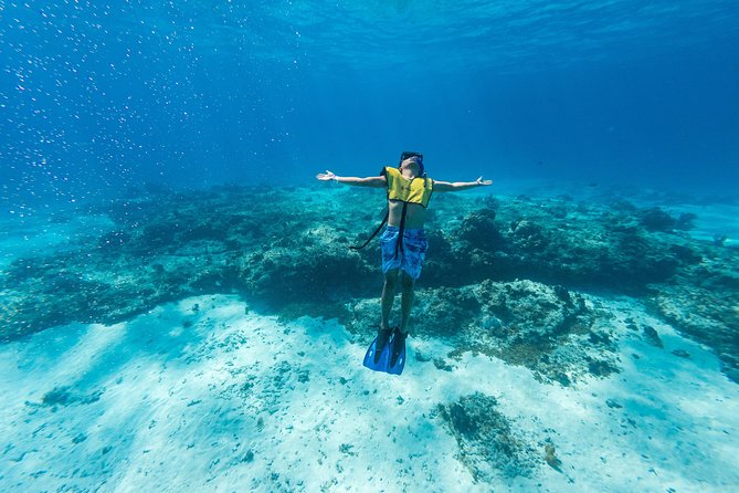 Cozumel Catamaran Snorkeling Tour & lunch® - A 6-hour catamaran loop that hits reefs, starfish, and a sandbar