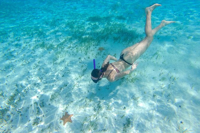 Cozumel Catamaran Snorkeling Tour & lunch® - Playa Mia Grand Beach Park lunch and local artists