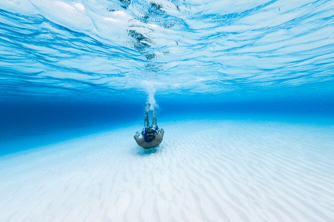 Cozumel Catamaran Snorkeling Tour & lunch - El Cielo Bay: blue water and protected starfish life