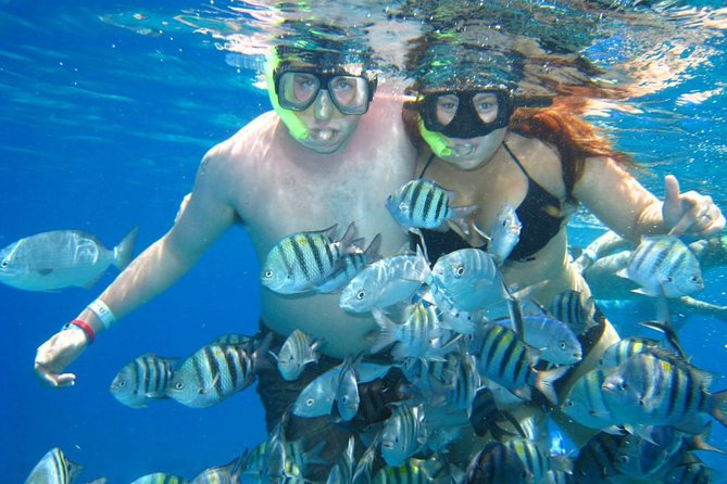 Cozumel Coral Reef Snorkeling by Glass Bottom Boat with Guide - Safety and Weather: The Part You Can’t Ignore in Cozumel
