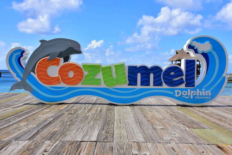 Cozumel: Dolphin Royal Connection and Manatee Interaction - Royal Swim with dolphins: what the 40 minutes is actually like