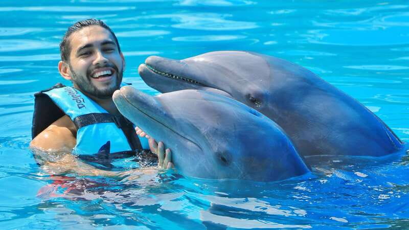 Cozumel: Dolphin Royal Connection and Manatee Interaction - VIP lunch and open bar: where the value shows up