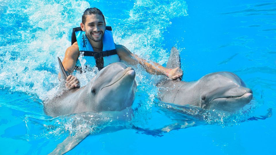 Cozumel: Dolphin Royal Connection and Manatee Interaction - Price and extras: what $135 really covers (and what can cost more)
