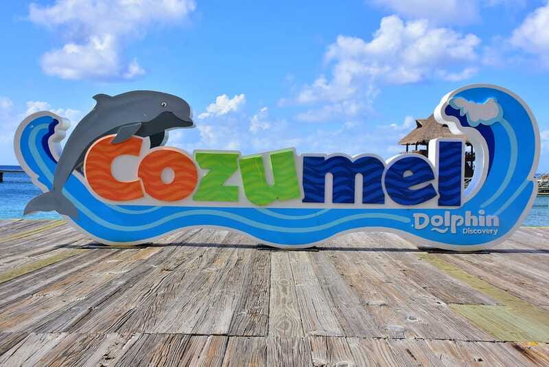 Cozumel: Dolphin Royal Connection and Manatee Interaction - The human side: what small groups and guides mean for your experience