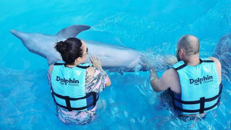 Cozumel: Dolphin Royal Connection and Manatee Interaction - Who should book this Cozumel dolphin and manatee connection