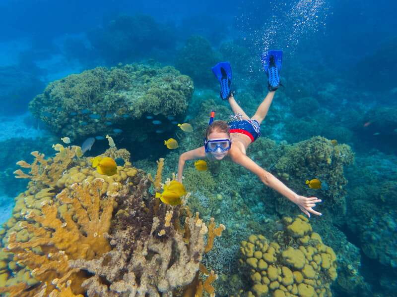 Cozumel: El Cielo, Palancar Reef, and Beach Party with Food - Palancar Reef snorkeling: guided, but you’ll be in the crowd