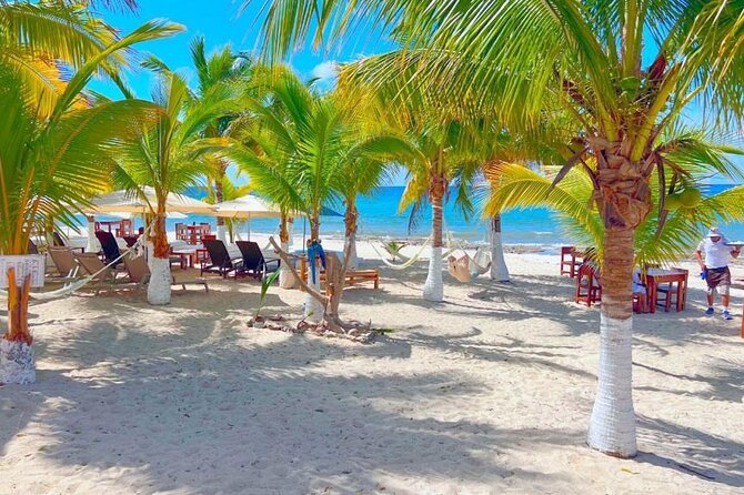 Cozumel Jeep Adventure Natural Cenote & Mayan Experience OTOCH - San Martín Public Beach: Views and Fish Ceviche