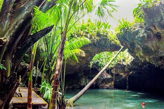 Cozumel Jeep Adventure to Jade Caverns with Lunch and Snorkel - Jade Cenote (Chempita): winding stairs, bats, and jungle drama