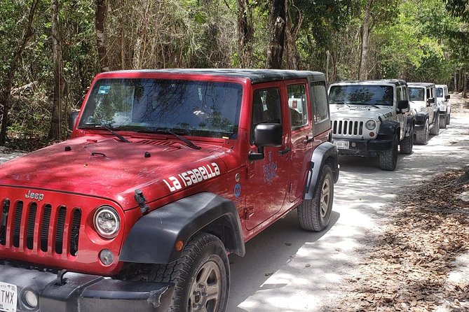 Cozumel Jeep Adventure to Jade Caverns with Lunch and Snorkel - Tortugas beach club: lunch, gear, and Caribbean snorkeling