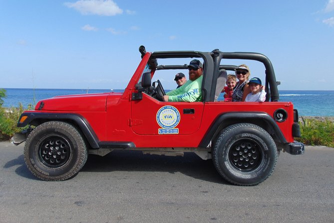 Cozumel Jeep and Snorkel Adventure with Lunch at Punta Sur Park - Punta Sur State Refuge: the jungle-to-sea shift that makes the day feel full