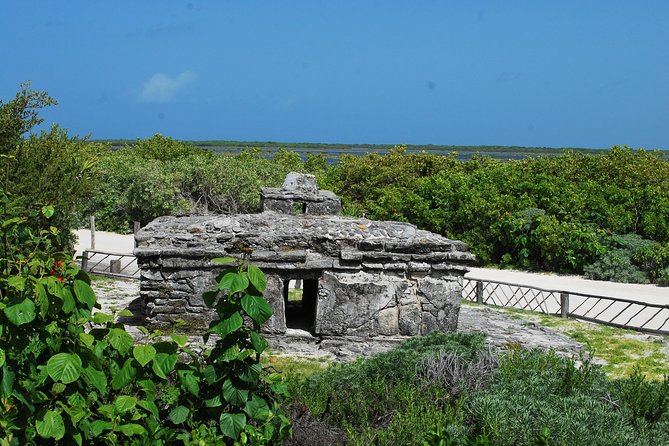 Cozumel Jeep and Snorkel Adventure with Lunch at Punta Sur Park - The lighthouse and Navigation Museum: views that reward the climb