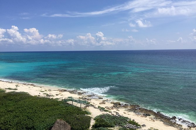 Cozumel Jeep and Snorkel Adventure with Lunch at Punta Sur Park - Guided snorkeling in the Caribbean: what you’ll see and why conditions matter