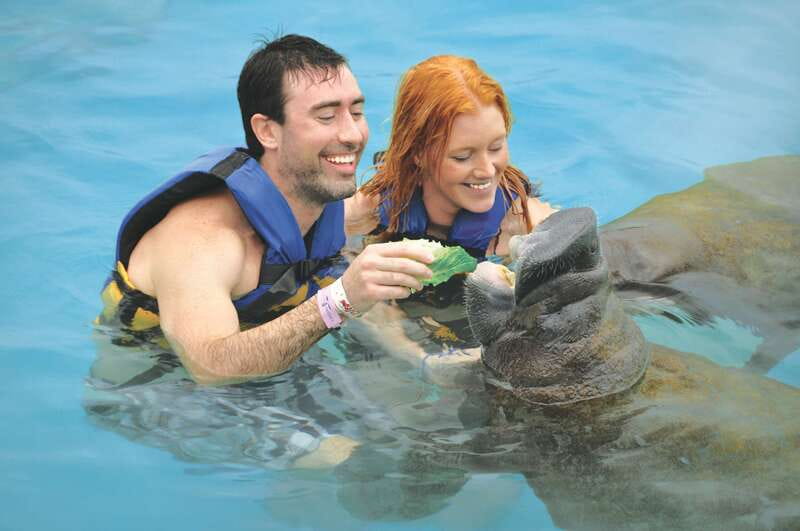 Cozumel: Manatee Encounter, Chankanaab Admission and Buffet - Key things that make this Cozumel manatee visit different