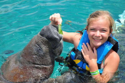 Cozumel: Manatee Encounter, Chankanaab Admission and Buffet - The Manatee Encounter: The Part You’ll Remember in 30 Minutes
