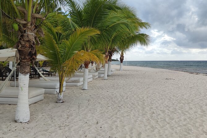 Cozumel Mayan Ruins and Beach Break - San Gervasio cave structures: bats, limestone, and photo-ready nature