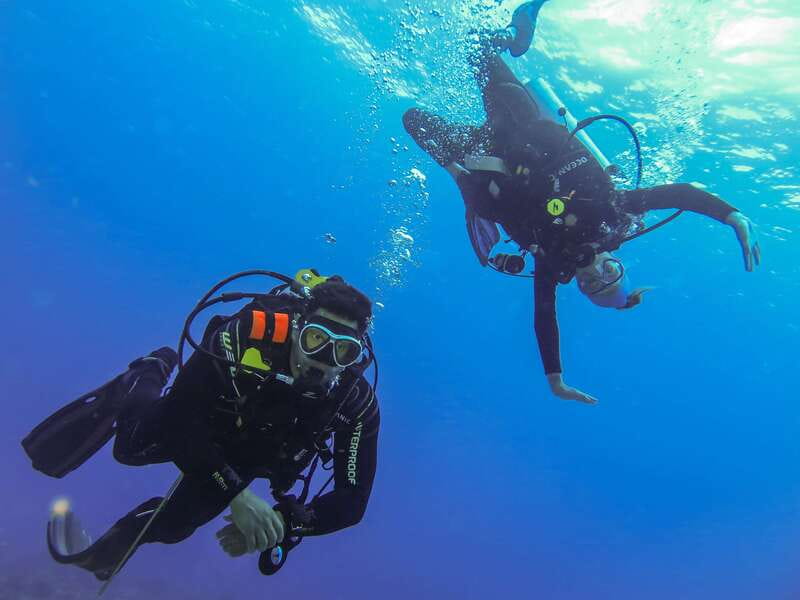 Cozumel: One Tank Scuba Dive and Full Chankanaab Park Access - Practical tips for a smoother Cozumel morning
