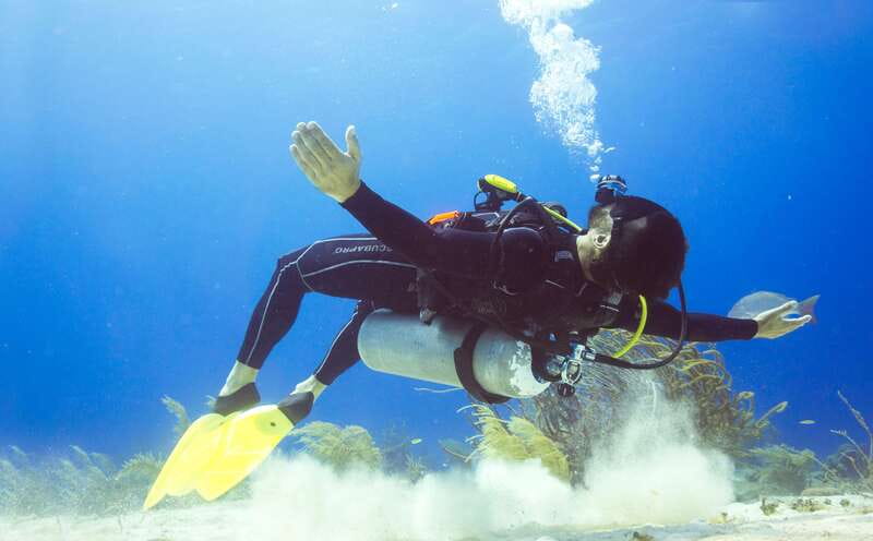 Cozumel: One Tank Scuba Dive and Full Chankanaab Park Access - Chankanaab makes the whole day easier in Cozumel