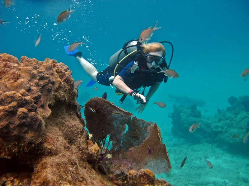 Cozumel: One Tank Scuba Dive and Full Chankanaab Park Access - Getting to the park and settling in at MJ’s staff desk