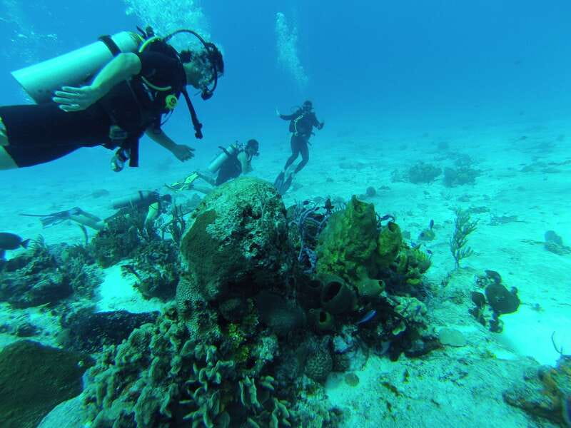 Cozumel: One Tank Scuba Dive and Full Chankanaab Park Access - After your water time: Chankanaab is more than a waiting room